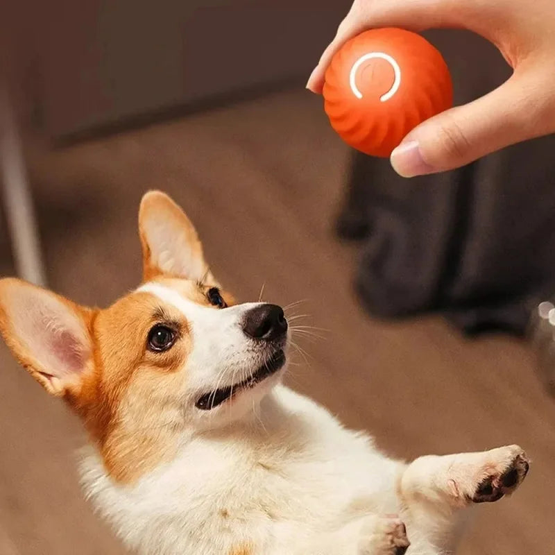 Dog Toy Ball Automatic Moving Bouncing Rolling Ball USB Smart Puppy Interactive Dog Chew Toy Ball